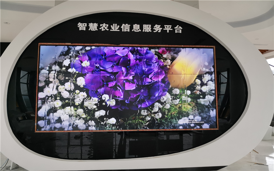 深圳5357CC拉斯维加斯智能视讯科技有限公司